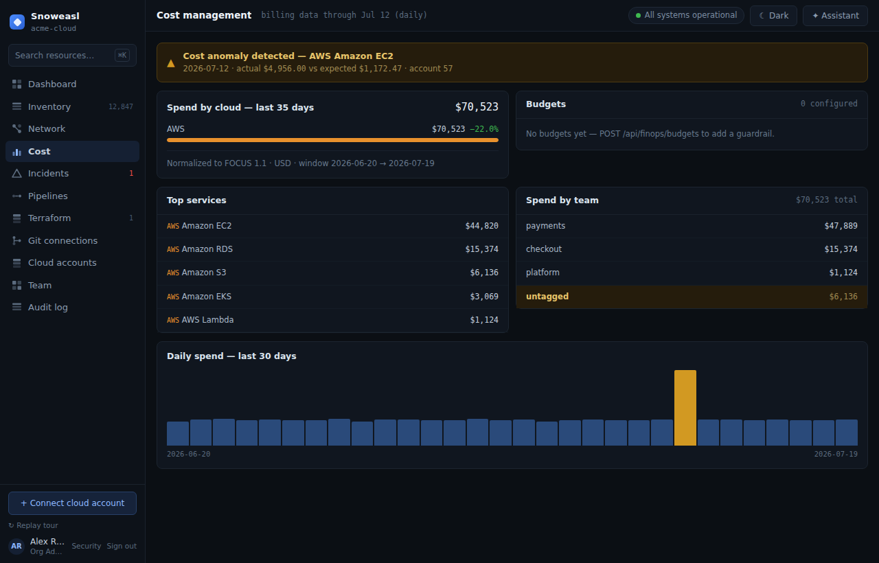 The Cost screen with real FOCUS-normalized spend by cloud, service and tag, and the anomaly banner